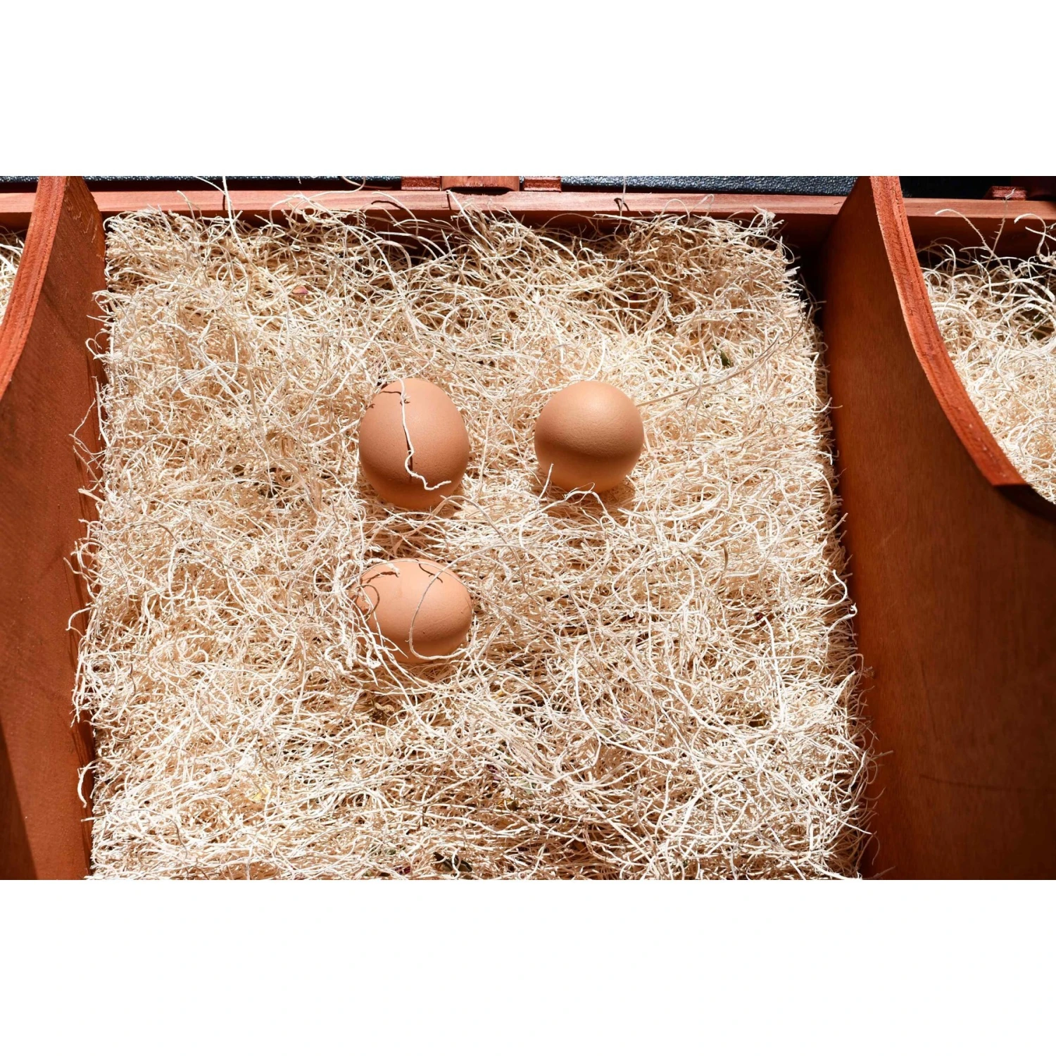 My Favorite Chicken Excelsior Chicken Nest Pads 6 My Favorite Chicken Excelsior Chicken Nest Pads - Image 6