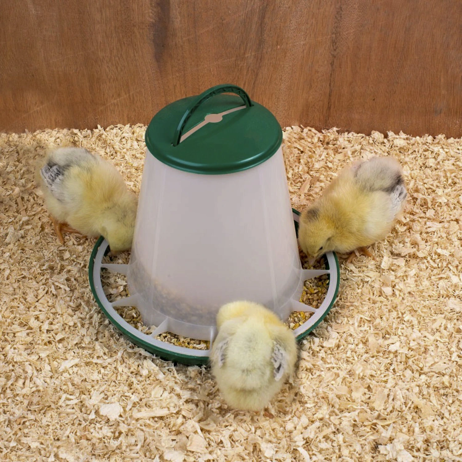 My Favorite Chicken Poultry Hopper Feeder, 6-6-lb 2 My Favorite Chicken Poultry Hopper Feeder, 6-6-lb - Image 2