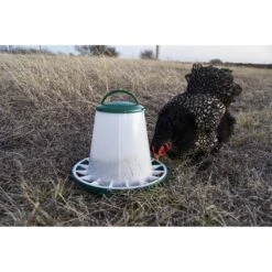 My Favorite Chicken Poultry Hopper Feeder, 6-6-lb 7 My Favorite Chicken Poultry Hopper Feeder, 6-6-lb -Meadow Farm 272771 PT5. AC SS1800 V1618961552