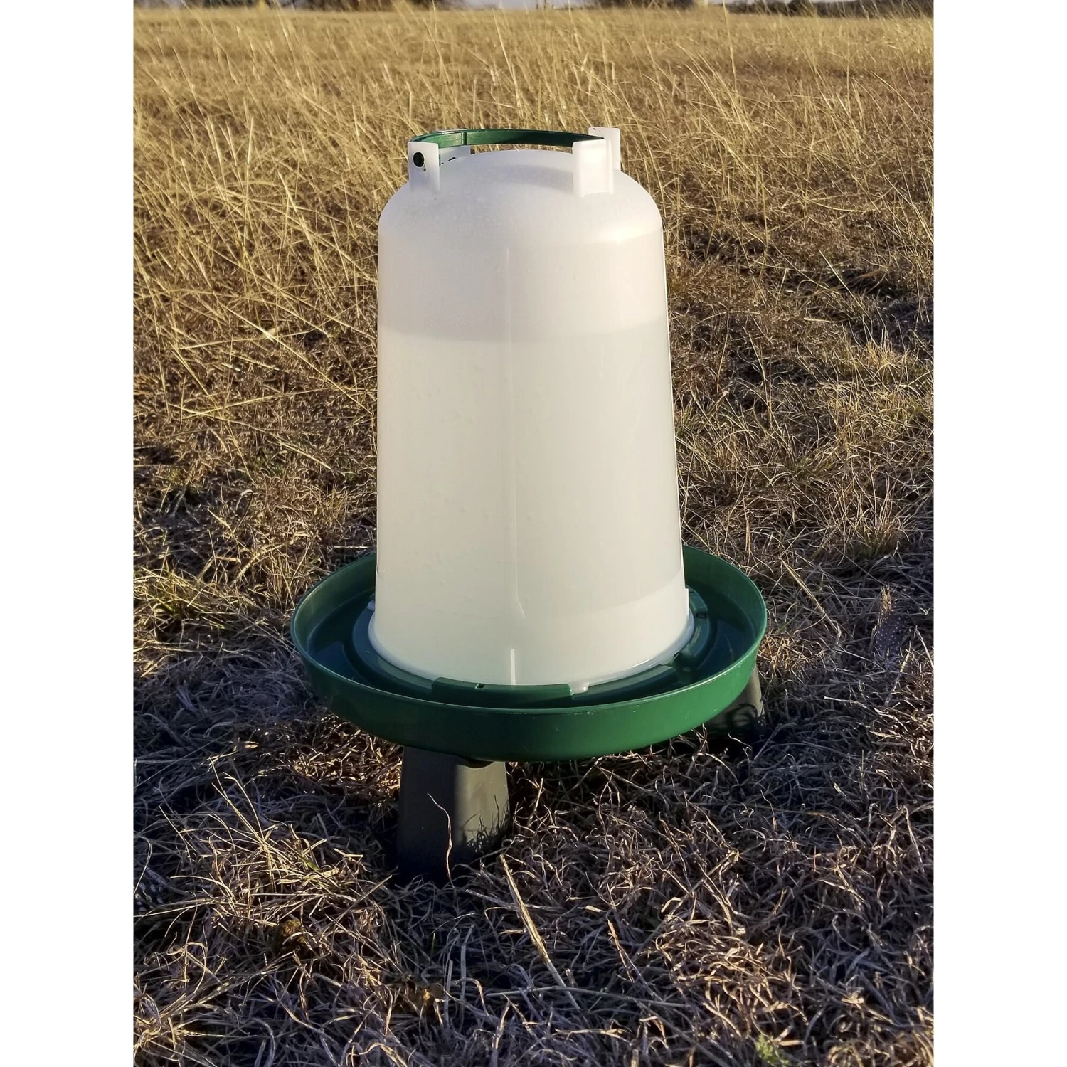 My Favorite Chicken Elevated Bayonet Poultry Drinker, Green, 1.5-gal 2 My Favorite Chicken Elevated Bayonet Poultry Drinker, Green, 1.5-gal - Image 2