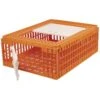 My Favorite Chicken Poultry Transport Crate