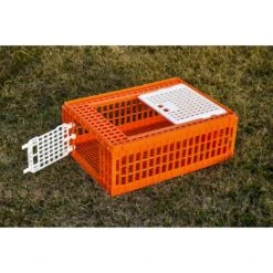My Favorite Chicken Poultry Transport Crate -Meadow Farm 272779 PT4. AC SS1800 V1618964568