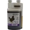 Hilton Herbs Daily Hen Health Chicken Supplement