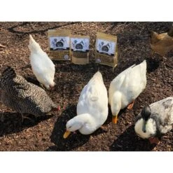 Fowl Treats Mealworm Blend Equinox Blend Chicken & Duck Treats, 2-lb Bag -Meadow Farm 281958 PT6. AC SS1800 V1616535154