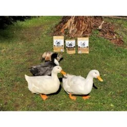 Fowl Treats Mealworm Blend Solstice Blend Chicken & Duck Treats, 2-lb Bag 13 Fowl Treats Mealworm Blend Solstice Blend Chicken & Duck Treats, 2-lb Bag -Meadow Farm 281960 PT5. AC SS1800 V1616536033