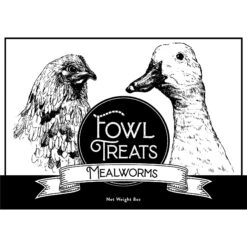 Fowl Treats Mealworms Chicken Treats, 8-oz Bag -Meadow Farm 281962 PT4. AC SS1800 V1616537206