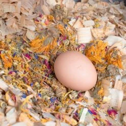 Pampered Chicken Mama Best Eggs Ever Poultry Nesting Box Herbs -Meadow Farm 286251 PT5. AC SS1800 V1620785283