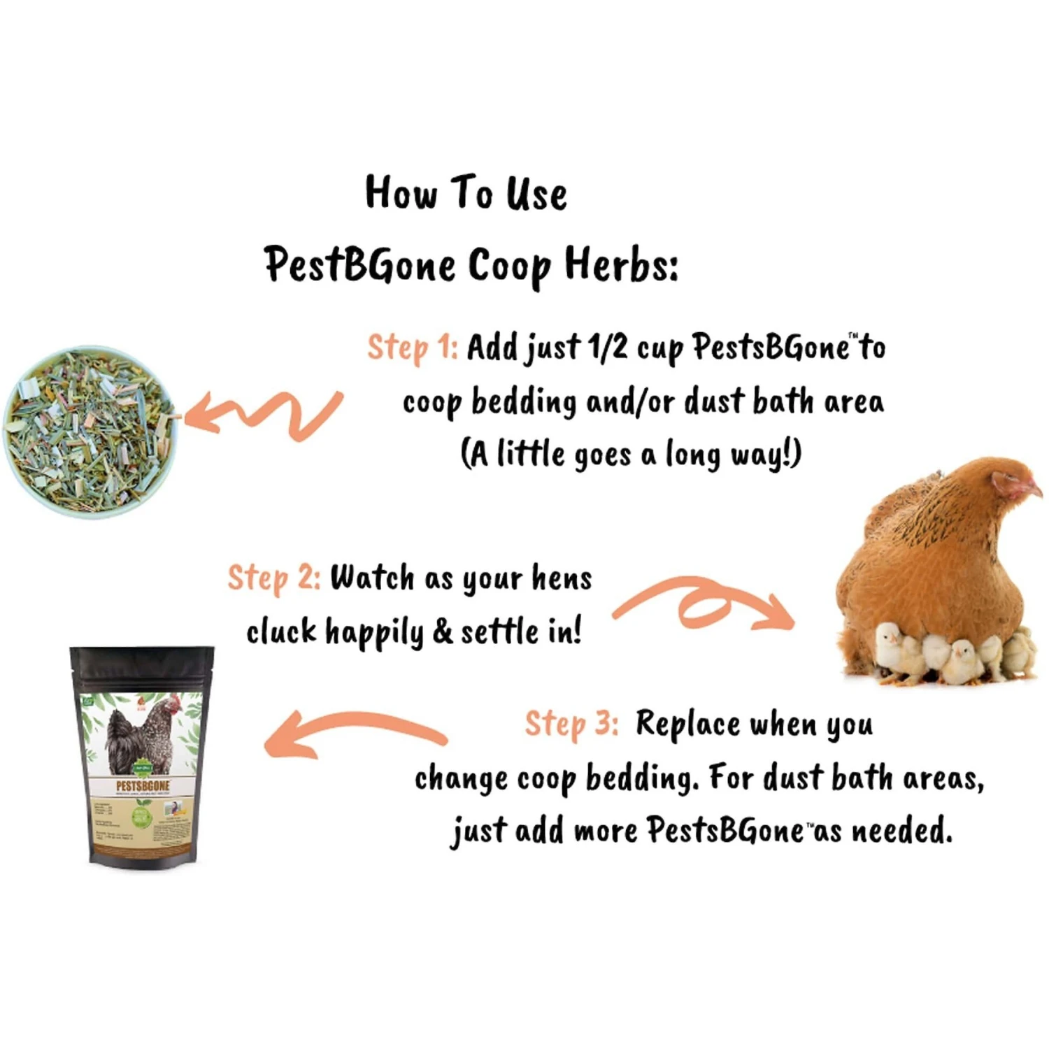 Pampered Chicken Mama PestsBGone Poultry Coop Herbs 7 Pampered Chicken Mama PestsBGone Poultry Coop Herbs - Image 7