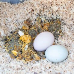 Pampered Chicken Mama StrongHen Poultry Nesting Box & Coop Herbs -Meadow Farm 286281 PT5. AC SS1800 V1620784037