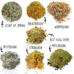 Pampered Chicken Mama Nesting Herb Starter Kit -Meadow Farm 286284 PT4. AC SS1800 V1620783757