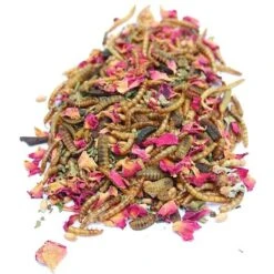 Pampered Chicken Mama BEE A Beautiful Hen Chicken Treats -Meadow Farm 286286 PT1. AC SS1800 V1620785256