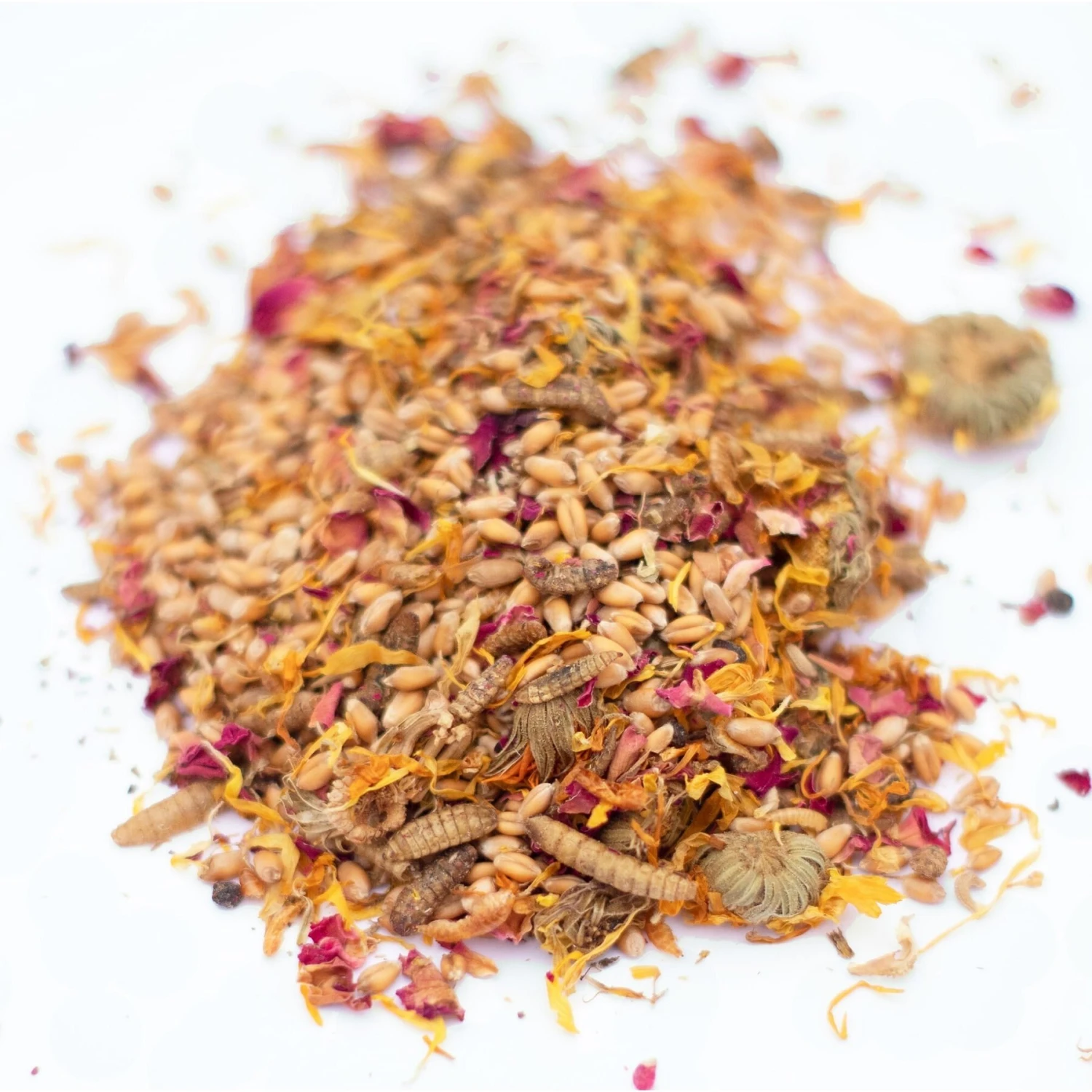 Pampered Chicken Mama PowerHen Chicken Treats 2 Pampered Chicken Mama PowerHen Chicken Treats - Image 2