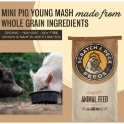 Scratch And Peck Feeds Organic Mini Pig Young Feed -Meadow Farm 286488 PT2. AC SS1800 V1681145670