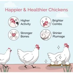 Mile Four Organic 16% Protein Whole Grain Layer Chicken & Duck Feed 11 Mile Four Organic 16% Protein Whole Grain Layer Chicken & Duck Feed -Meadow Farm 286874 PT2. AC SS1800 V1686085854