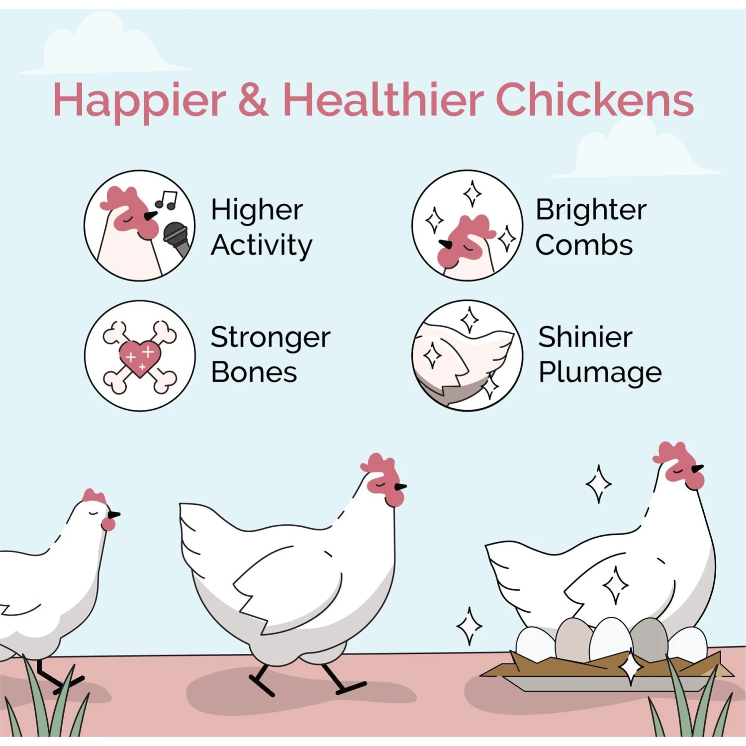 Mile Four Organic 16% Protein Whole Grain Layer Chicken & Duck Feed 3 Mile Four Organic 16% Protein Whole Grain Layer Chicken & Duck Feed - Image 3