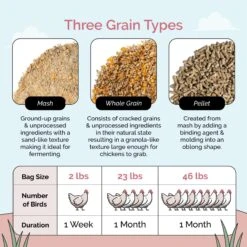 Mile Four Organic 16% Protein Whole Grain Layer Chicken & Duck Feed 14 Mile Four Organic 16% Protein Whole Grain Layer Chicken & Duck Feed -Meadow Farm 286874 PT5. AC SS1800 V1686085800