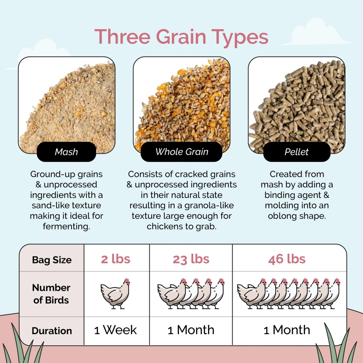 Mile Four Organic 16% Protein Whole Grain Layer Chicken & Duck Feed 6 Mile Four Organic 16% Protein Whole Grain Layer Chicken & Duck Feed - Image 6