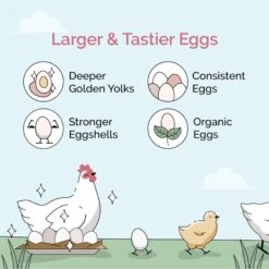 Mile Four 18% Organic Whole Grain Grower Chicken & Duck Feed -Meadow Farm 286876 PT1. AC SS1800 V1686083662