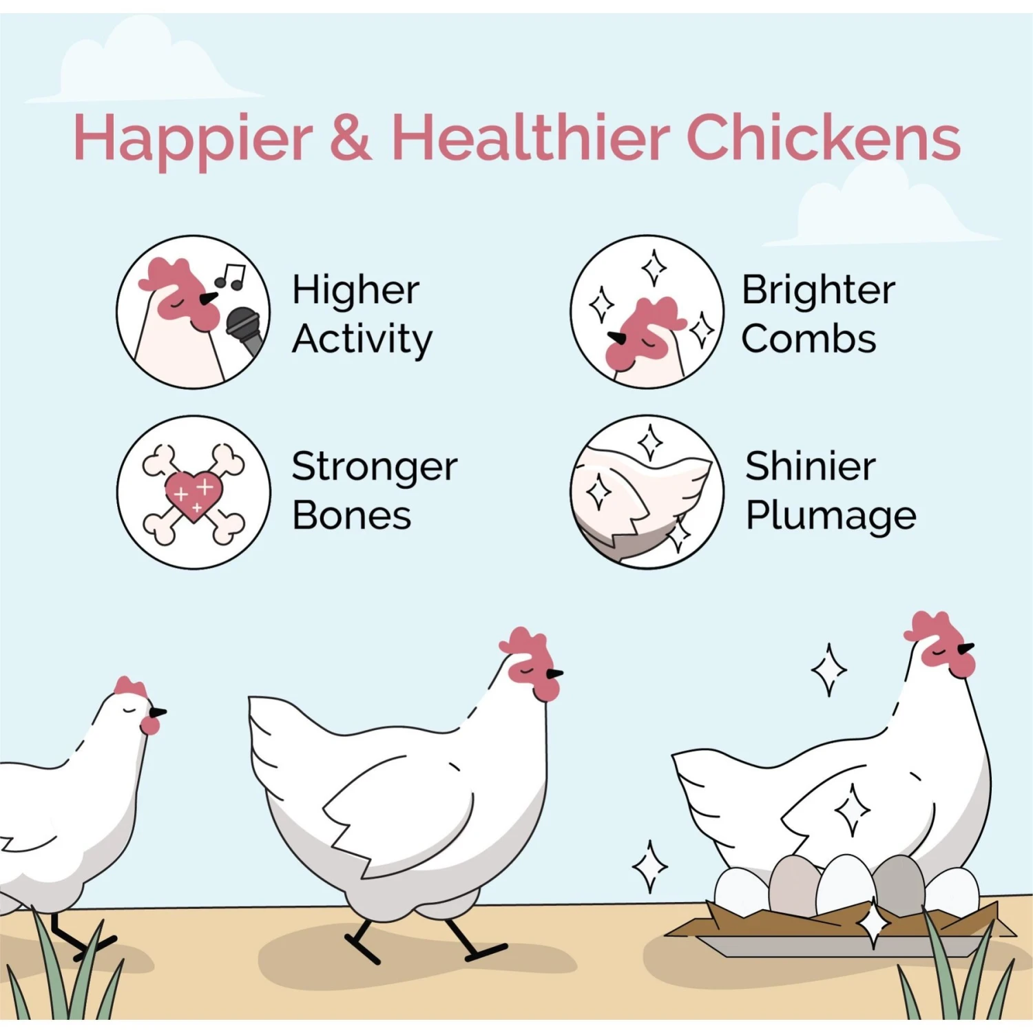 Mile Four 21% Organic Whole Grain Starter Chicken & Duck Feed 3 Mile Four 21% Organic Whole Grain Starter Chicken & Duck Feed - Image 3