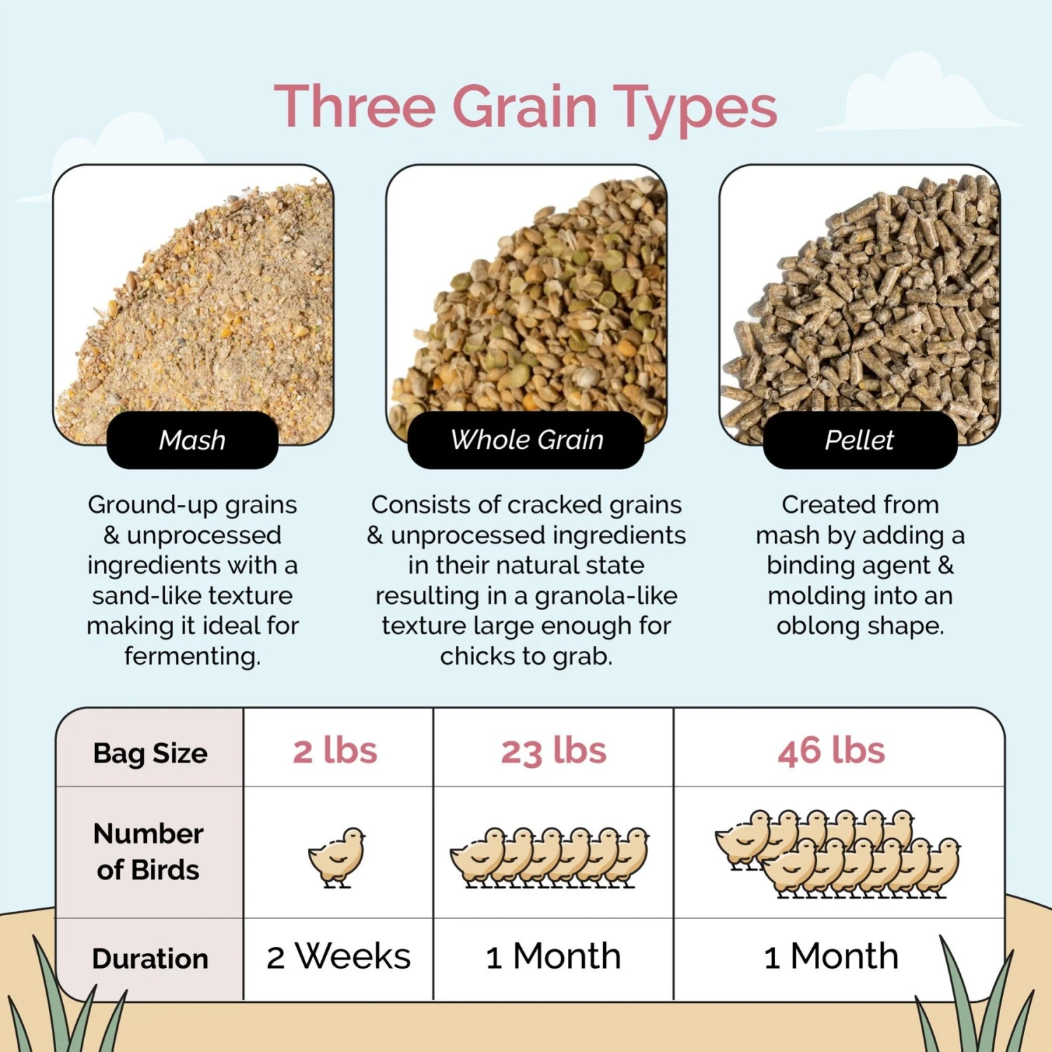 Mile Four 21% Organic Whole Grain Starter Chicken & Duck Feed 6 Mile Four 21% Organic Whole Grain Starter Chicken & Duck Feed - Image 6