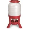 Little Giant Dome Poultry Feeder