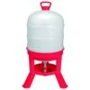 Little Giant Dome Poultry Waterer