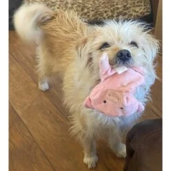 Piggy Poo And Crew Pig Paper Crinkle Squeaker Toy, 2 Count -Meadow Farm 299987 PT3. AC SS1800 V1629152220