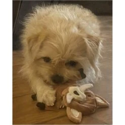 Piggy Poo And Crew Boar Paper Crinkle Squeaker Toy, 2 Count -Meadow Farm 299989 PT2. AC SS1800 V1628910718