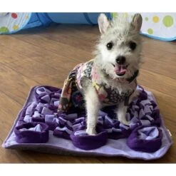 Piggy Poo And Crew Purple Snuffle Mat -Meadow Farm 299999 PT3. AC SS1800 V1628911273