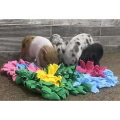 Piggy Poo And Crew Colorful Activity Snuffle Mat -Meadow Farm 300001 PT3. AC SS1800 V1625782118