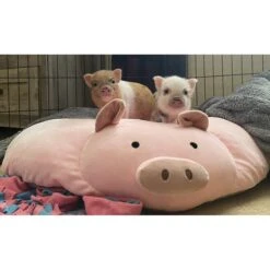 Piggy Poo And Crew Pig Pillow 11 Piggy Poo And Crew Pig Pillow -Meadow Farm 300007 PT4. AC SS1800 V1625781362