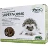 Exotic Nutrition Fresh Feeders Superworms Reptile Food, 5-oz Box