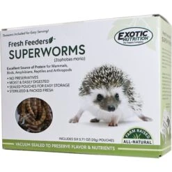 Exotic Nutrition Fresh Feeders Superworms Reptile Food, 5-oz Box