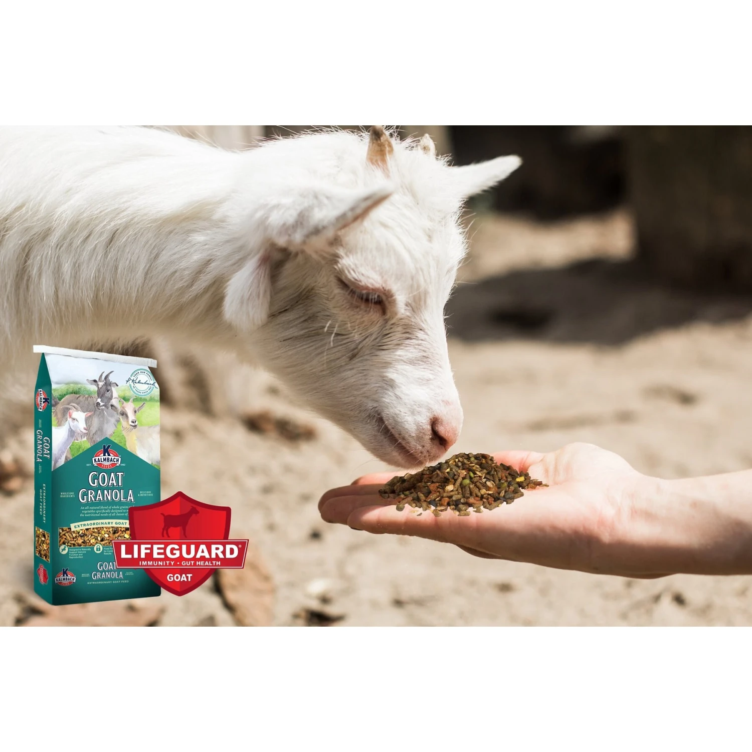 Kalmbach Feeds Granola Goat Food, 30-lb Bag 4 Kalmbach Feeds Granola Goat Food, 30-lb Bag - Image 4