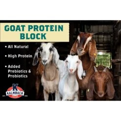 Kalmbach Feeds All Natural Protein Goat Supplement, 25-lb Block -Meadow Farm 315399 PT2. AC SS1800 V1626733322