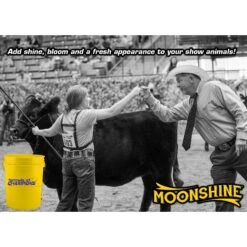 Formula Of Champions Moonshine Caramel Flavor Farm Animal Feed, 35-lb Bucket -Meadow Farm 316430 PT2. AC SS1800 V1628200294
