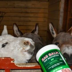 Bag Balm Pet Original Agricultural Moisturizing Lotion -Meadow Farm 316638 PT4. AC SS1800 V1659028591