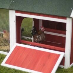 Prevue Pet Products Chicken Coop -Meadow Farm 333150 PT5. AC SS1800 V1634088215