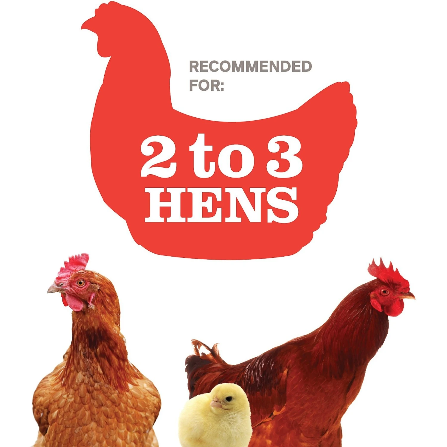 Prevue Pet Products Nest Box Chicken Coop 9 Prevue Pet Products Nest Box Chicken Coop - Image 9