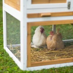 Prevue Pet Products Herb Planter Chicken Coop 14 Prevue Pet Products Herb Planter Chicken Coop -Meadow Farm 333154 PT5. AC SS1800 V1634161916