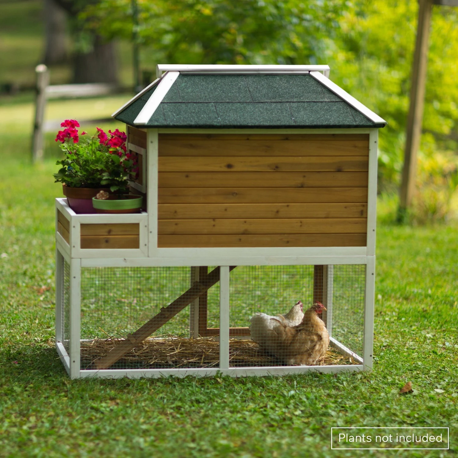 Prevue Pet Products Herb Planter Chicken Coop 8 Prevue Pet Products Herb Planter Chicken Coop - Image 8