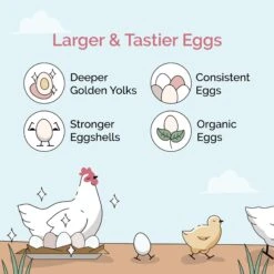 Mile Four Chicken Grit Digestive Supplement -Meadow Farm 345185 PT2. AC SS1800 V1686172089