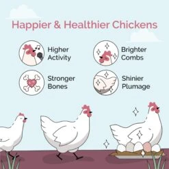 Mile Four Oyster Shell Calcium Hen Supplement -Meadow Farm 345187 PT3. AC SS1800 V1686172085