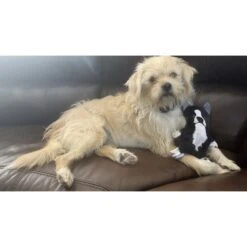 Piggy Poo And Crew Boston Terrier Paper Crinkle Squeaker Toy, 2 Count 5 Piggy Poo And Crew Boston Terrier Paper Crinkle Squeaker Toy, 2 Count -Meadow Farm 345629 PT2. AC SS1800 V1636148224