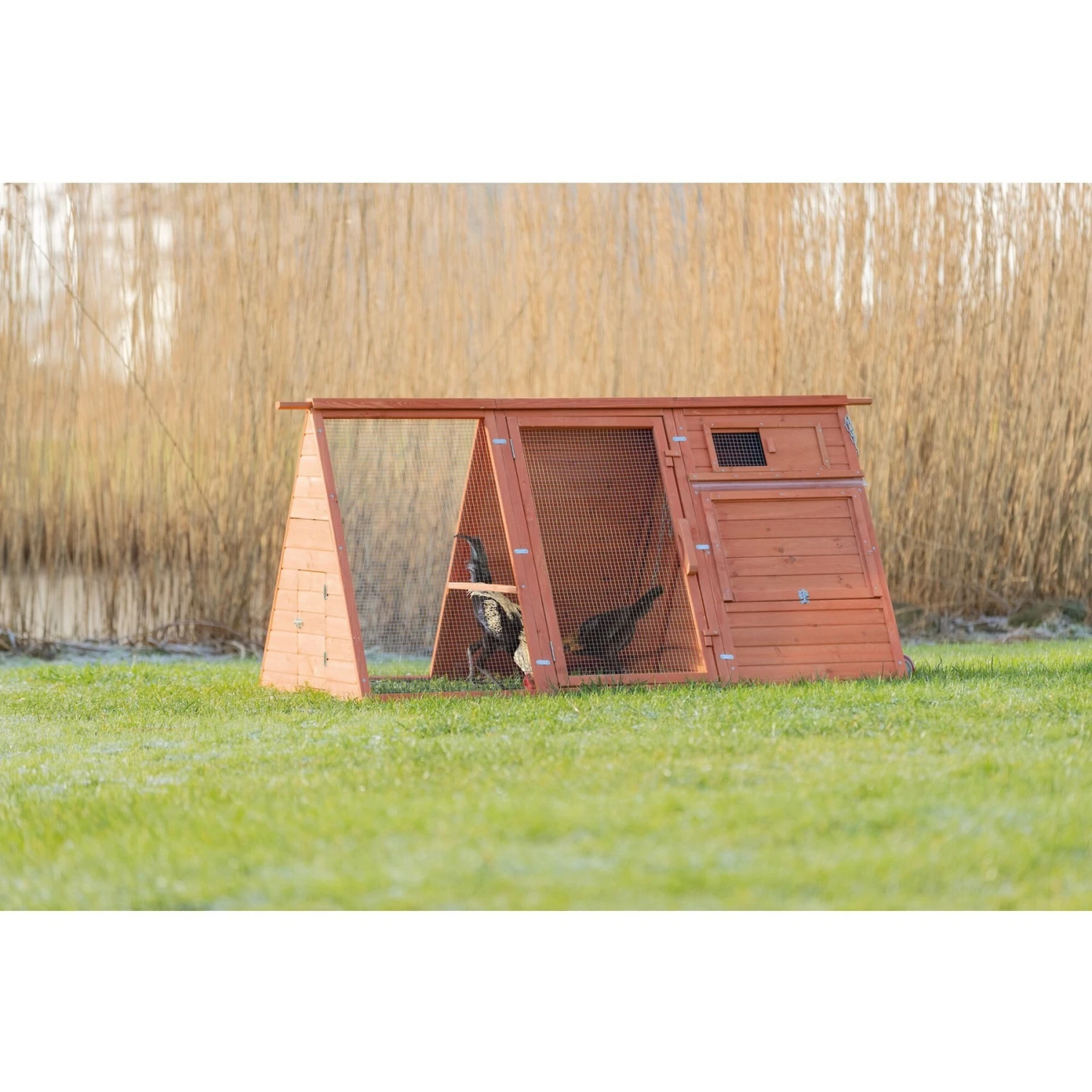 TRIXIE Mobile A-Frame Chicken Coop & Run 3 TRIXIE Mobile A-Frame Chicken Coop & Run - Image 3