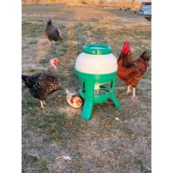 My Favorite Chicken Hopper Poultry Feeder, 25-lb -Meadow Farm 356436 PT5. AC SS1800 V1641338839