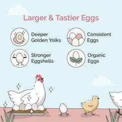 Mile Four Organic 16% Protein Mash Layer Chicken & Duck Feed 10 Mile Four Organic 16% Protein Mash Layer Chicken & Duck Feed -Meadow Farm 358608 PT1. AC SS1800 V1686172027