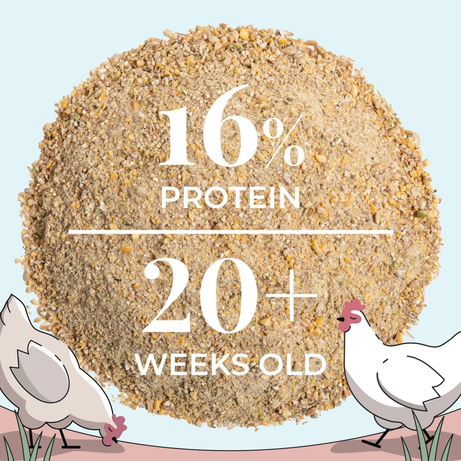 Mile Four Organic 16% Protein Mash Layer Chicken & Duck Feed 7 Mile Four Organic 16% Protein Mash Layer Chicken & Duck Feed - Image 7