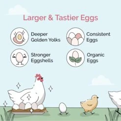 Mile Four Organic 18% Protein Mash Grower Chicken & Duck Feed 10 Mile Four Organic 18% Protein Mash Grower Chicken & Duck Feed -Meadow Farm 358610 PT1. AC SS1800 V1686172458