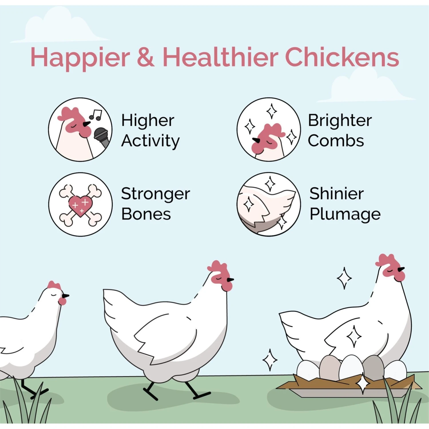 Mile Four Organic 18% Protein Mash Grower Chicken & Duck Feed 3 Mile Four Organic 18% Protein Mash Grower Chicken & Duck Feed - Image 3